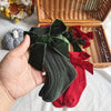 Baby Girls Red Big Bow Christmas Socks - Kids Cotton Solid Woolen Sock Leg Warmers | Toddler Soft Socken for 0-5 Years