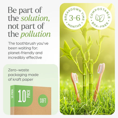 Biodegradable Bamboo Toothbrush 10 Packs, Environmentally Friendly Compostable Natural Wooden Toothbrush