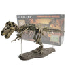 70cm (27.6in) Tyrannosaurus Rex Skeleton Model - Large PVC Dinosaur Collectible & Home Decor