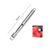 Stainless Steel Fruit Corer for Apples, Pears, and Red Dates - Seed Core Remover Slicer Knife