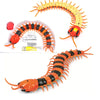 Infrared RC Cobra and Insect Toy – Remote Control Cockroach and Caterpillar Prank for Kids