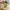 Cabbage Slicer Vegetable Cutter Multi-Purpose Salad Grater