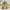 Kawaii Green Jointed Bear Panda Plush Toy