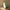 Dinosaur Night Light for Kids — Cute USB Rechargeable Touch-Dimmer Bedside Lamp with 15-Min Timer, 124 x 78 x 175 mm (4.9 x 3.1 x 6.9 in)
