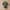 Newborn Baby Boy Jumpsuit – Long Sleeve Camouflage Footed Romper (0-12 Months, Boston Design)