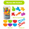 Animal Counting Toys for Kids - Early Learning Sorting & Classification Educational Toy, Ages 3-6