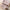 Ylsteed 2-Piece Set Knitted Newborn Rabbit Costume for Photo Shooting – Easter Baby Photography Props