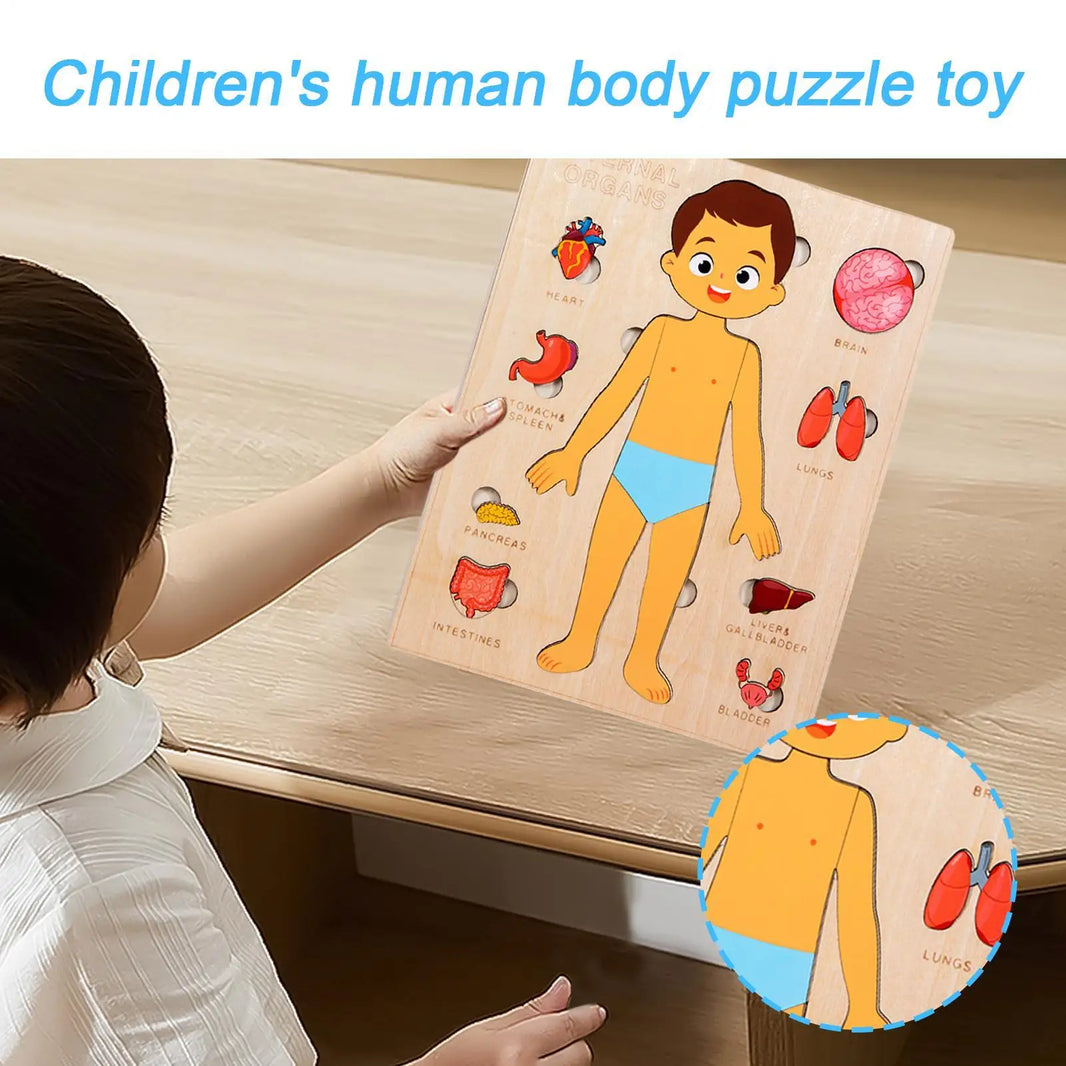 Montessori Human Anatomy Jigsaw Puzzle – Organ Model Educational Toy for Kids, Learning and Travel Toy for Toddlers