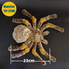 Realistic Wolf Spider Plush Toy – Lifelike Tarantula Stuffed Animal, Bird-Eating Spider Plush Gift
