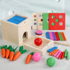 6-in-1 Wooden Montessori Toy Set — Object Permanence Box, Shape Sorter, Coin Box & Ball Drop Educational Play Kit