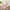 Newborn Baby Bodysuit – Knit Long Sleeve Infant Jumpsuit with Cute Rabbit Ears – Fashion Toddler Boy & Girl Clothing for Spring (0-12M)