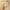SAIDAH Simple Nylon Sponge Suction Feeding Bottle Nipple Pacifier Brush Set for Cleaning Water Sippy Vacuum Cup (2 in 1)