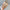 Toddler Girls’ Sandals – 2024 New Fashion Princess Beach Shoes, Cross-Tied Weave Style, Soft Cute Summer Sandals for Kids