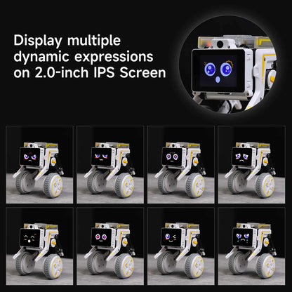 Rider-Pi AI Visual Robot, Two-Wheel Smart Car Toy with IMU Module, Python Programming, ChatGPT Voice Interaction