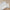Nordic Canvas Growth Chart - Kids Height Ruler 50–170 cm (19.7–66.9 in) Hanging Wall Decor & Baby Photo Prop