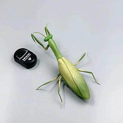 Infrared RC Antistress Insect Toys – Simulation Spider, Bee, Fly, and Mantis for Kids