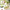 Hand Crank Cabbage Slicers Chopper Quick Lettuce Grater