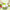 5-Liter Salad Spinner Dryer Hand Crank Vegetable Dehydrator Kitchen Accessory