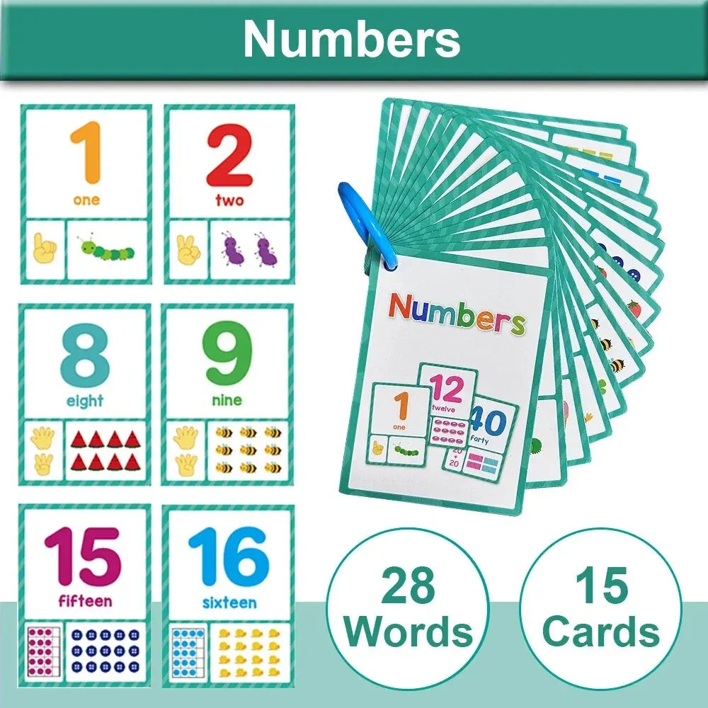 Montessori English Word Cards – Early Education Vocabulary Teaching Aids for Kids and Kindergarten Classroom Supplies