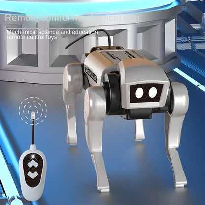 2-in-1 RC Robot Puppy and Cat Toy – DIY Assembling Mechanical Animal for Kids