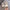 Fashion Children’s Sandals – Spring & Summer Shining Flowers Sweet Girl Princess Shoes, Dance Performance Kids’ Sandals