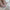 Boys/Girls Baby Walking Shoes – Spring/Autumn Soft Sole Mesh Breathable Shoes for 0-2 Year Olds, Nude Baby Shoes