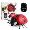 RC Robotic Crab Toy – Remote Control Electronic Insect Pet Prank for Kids and Adults