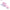 Girls Hair Comb – Candy Color Hairbrush for Scalp Massage, Wet & Curly Detangle Brush for Women and Kids, Baby Pink