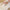 Funny Goose Plush Toy 50/90/130cm (19.7/35.4/51.2 Inches)