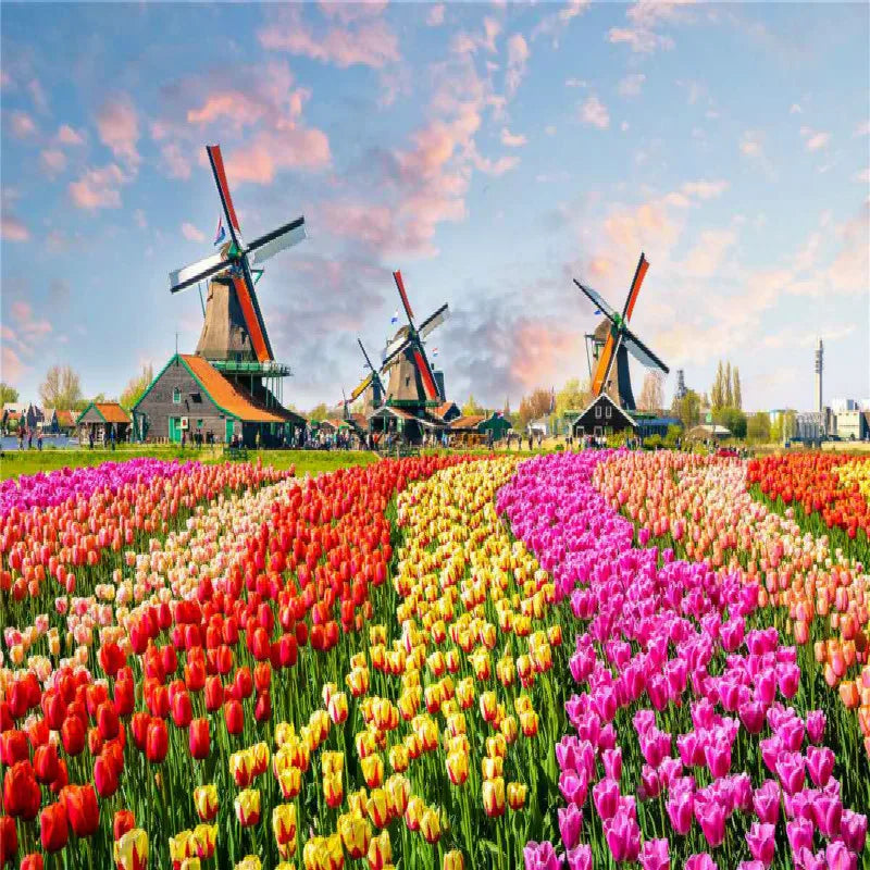 500 Pieces Jigsaw Puzzle, Various Landscape Patterns, Educational Toy for Kids, Children's Game, Christmas Gift