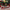 Hand-Painted Wooden Christmas Train Set Mini Tabletop Holiday Decorations