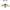 Bird Repellent Hanging Eagle Hawk Scarer – Garden Decoy for Pest Protection and Plant Decor