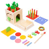 8-in-1 Montessori Carrot Permanence Box Wooden Shape Sorting Toy for Toddlers Ages 1+
