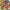 DIY Creative Building Blocks Set – 300/500-Piece Classic Building Bricks Educational STEM Toy for Kids