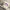 Sanrio Plush Toy 25cm (9.8 Inches) – Kuromi, My Melody, Cinnamoroll