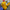 5210 Particle Pokemon Pikachu Micro Building Blocks – Anime Figure, Mini Bricks Model, Decompression Toy for Kids