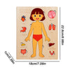 Montessori Human Anatomy Jigsaw Puzzle – Organ Model Educational Toy for Kids, Learning and Travel Toy for Toddlers