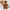 3pcs Baby Furry Tiger Costume Newborn Photography Set, Cute Animal Footed Jumpsuit, Hat & Tail, Infant Boy Girl Photo Prop Outfit