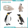 Animal & Plant Life Cycle Board Montessori Teaching Set - Preschool Science Model Kit for Kids