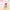 DIY Micro Flower Building Blocks – Mini Bricks Eternal Flowers Home Decoration Puzzle Toy