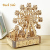 DIY 3D Wooden Ferris Wheel Puzzle Kit – Mechanical Model & STEM Brain Teaser