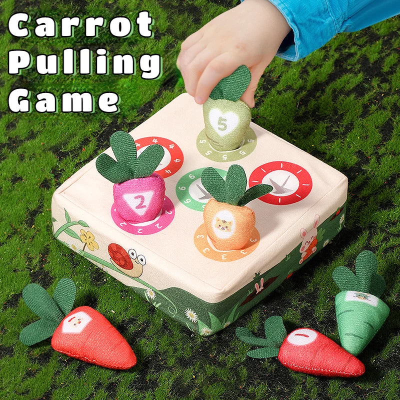 Baby Montessori Toy – Toddler Fine Motor Skills Training and Color Learning Educational Toy for Children, Preschool Sensory Activity
