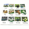 Montessori Animal Matching Cards - Language Learning Cognitive Toy for Kids, Insect Farm Zoo, Educational Preschool Toy for 1-2 Years Old Toddlers
