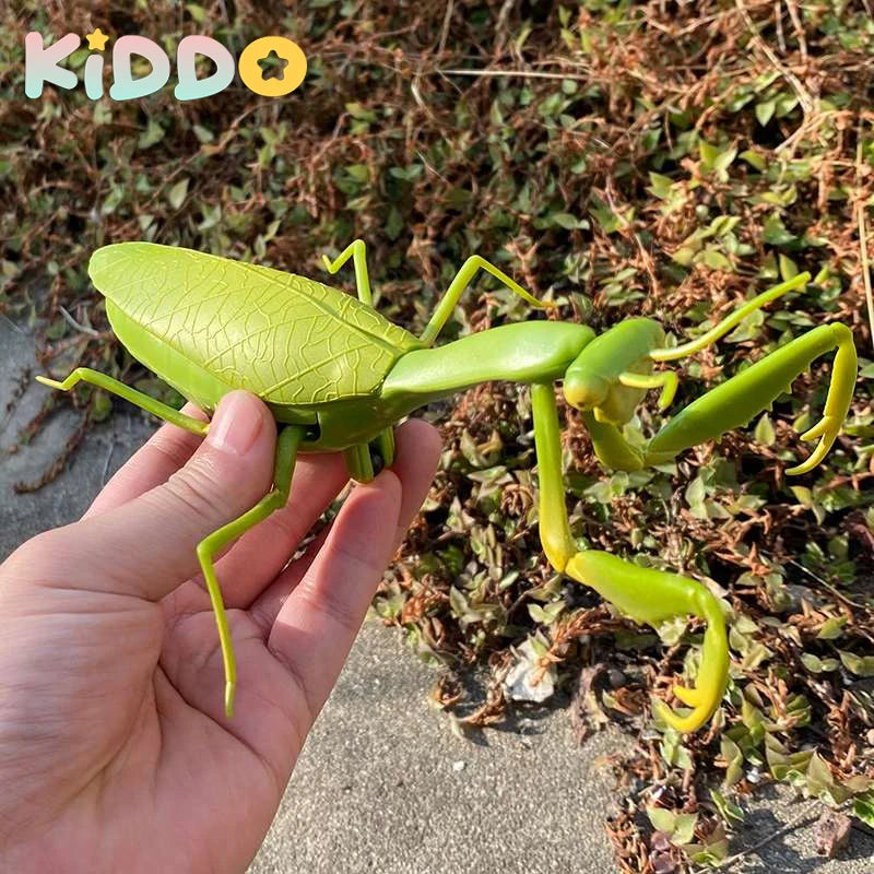Infrared RC Cockroach Toy – Remote Control Creepy Spider Bug Prank for Kids