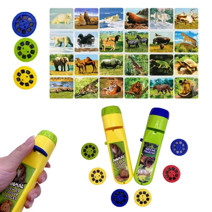 Kids Dinosaur Projection Flashlight Night Light - Educational Bedtime Star Sky Projector (5.12 in / 13 cm)