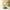 Eternal Flower Wooden Building Blocks – Assembled Toy and Desktop Decoration for Children, Festival Gift