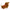 Dachshund Cartoon Slippers — Kawaii Wiener Dog Fuzzy Non-Slip Indoor House Shoes, One Size (EU 35–44 / 29.5 cm / 11.6 in)