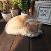 Realistic Mini Plush Cat Doll - 8.27 x 6.69 x 2.76 in (21 x 17 x 7 cm) Simulation Animal Toy & Car Ornament