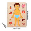 Montessori Human Anatomy Jigsaw Puzzle – Organ Model Educational Toy for Kids, Learning and Travel Toy for Toddlers