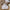 Ylsteed Newborn Chef Set – Baby Boy Photo Props with Bread Print, Newborn Photography Outfit for Picture Shoots